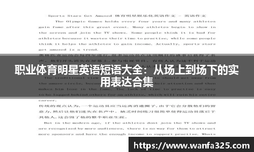 3377体育官网