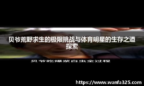 3377体育