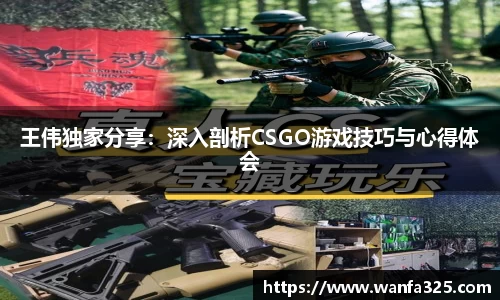3377体育官网