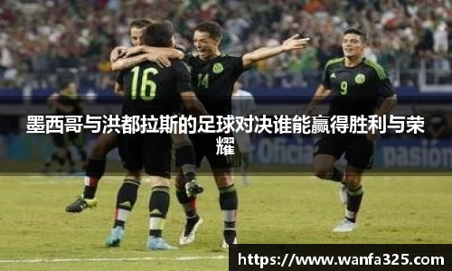 3377体育官网