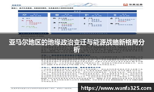 亚马尔地区的地缘政治变迁与能源战略新格局分析