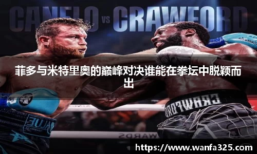 菲多与米特里奥的巅峰对决谁能在拳坛中脱颖而出