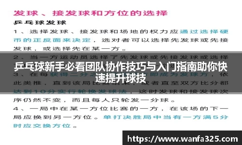 乒乓球新手必看团队协作技巧与入门指南助你快速提升球技