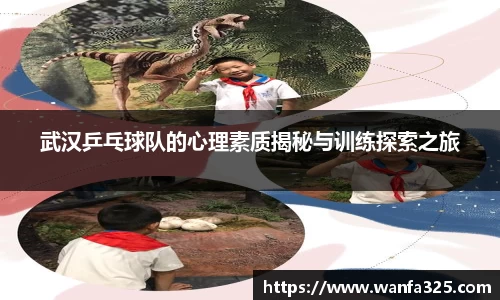 武汉乒乓球队的心理素质揭秘与训练探索之旅