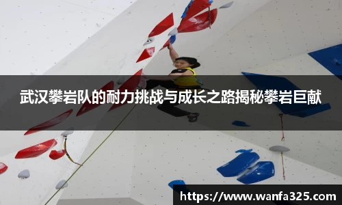 3377体育官网