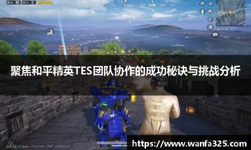 聚焦和平精英TES团队协作的成功秘诀与挑战分析