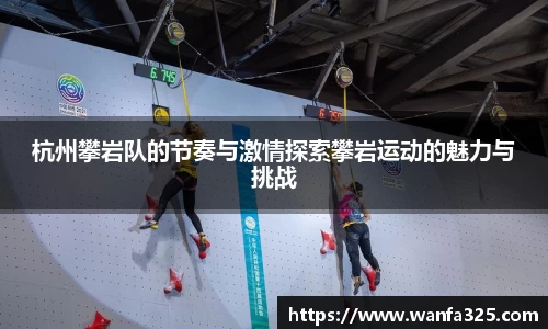 3377体育官网